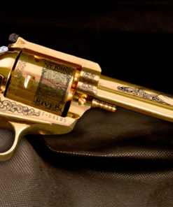 Orange Park Heritage Revolver