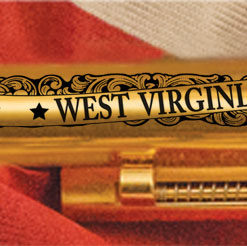 Preston County WV Revolver - Image 4