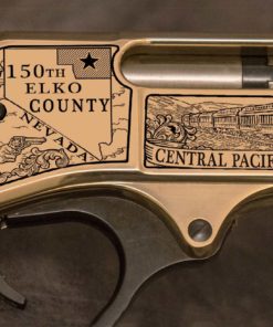 The Elko County 150th Rifle