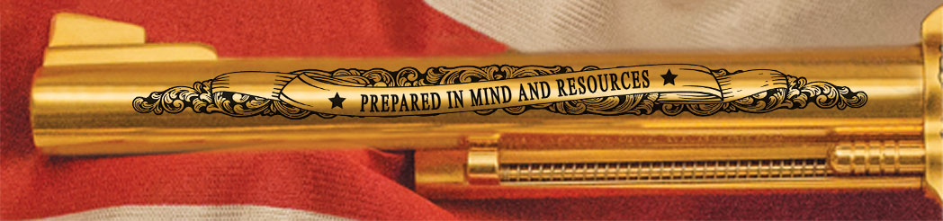 The South Carolina Legacy Revolver - Image 4