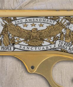 2nd Amendment Sanctuary Rifle